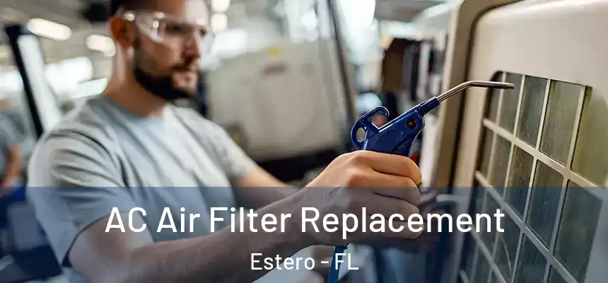 AC Air Filter Replacement Estero - FL