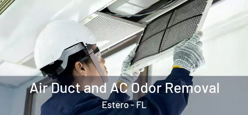Air Duct and AC Odor Removal Estero - FL