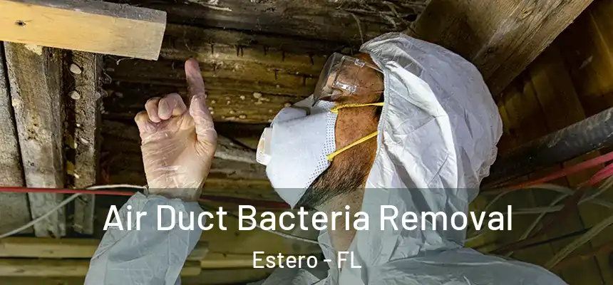 Air Duct Bacteria Removal Estero - FL