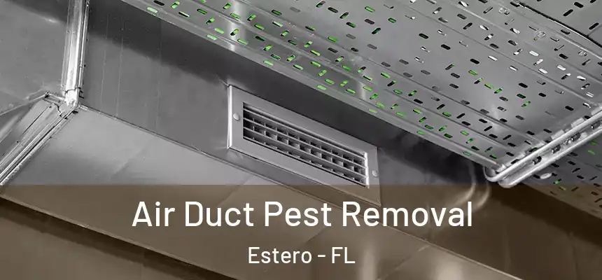 Air Duct Pest Removal Estero - FL