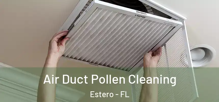 Air Duct Pollen Cleaning Estero - FL