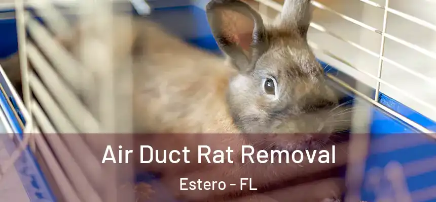 Air Duct Rat Removal Estero - FL