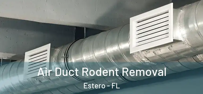 Air Duct Rodent Removal Estero - FL