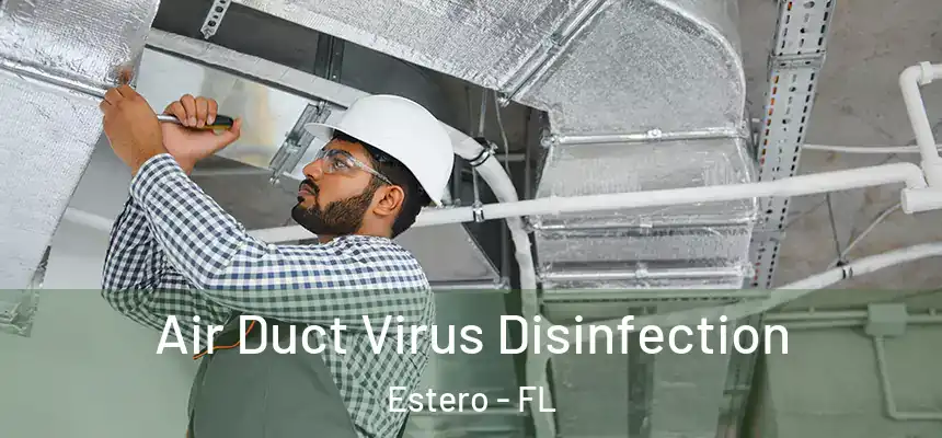  Air Duct Virus Disinfection Estero - FL