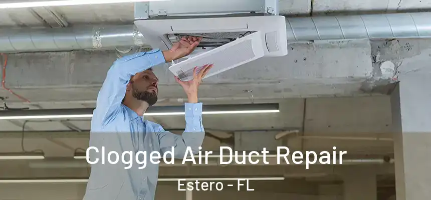 Clogged Air Duct Repair Estero - FL
