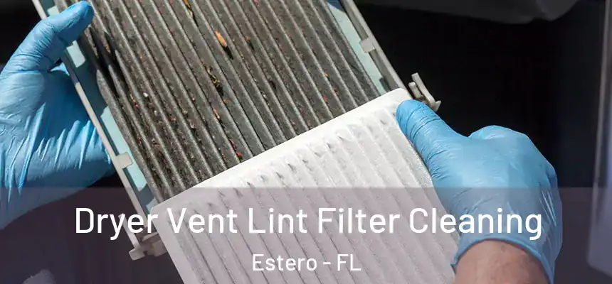 Dryer Vent Lint Filter Cleaning Estero - FL