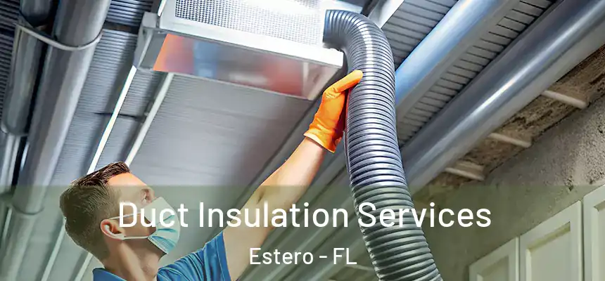 Duct Insulation Services Estero - FL