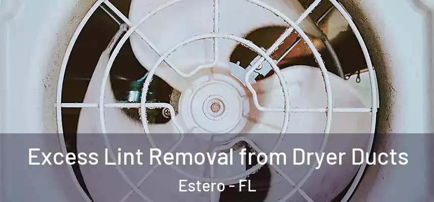 Excess Lint Removal from Dryer Ducts Estero - FL