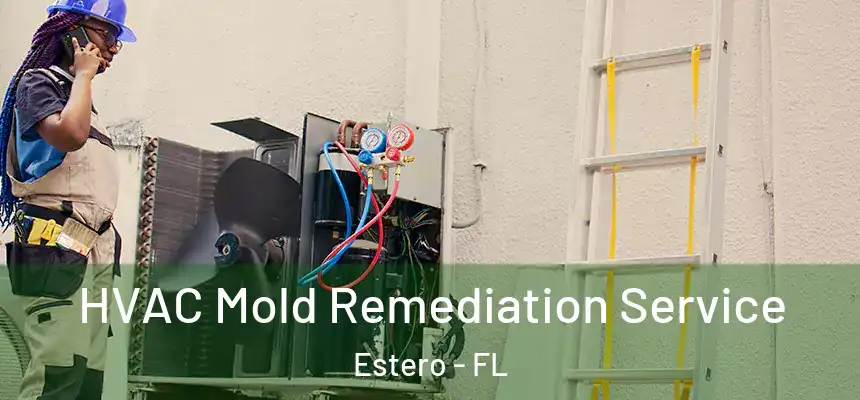 HVAC Mold Remediation Service Estero - FL