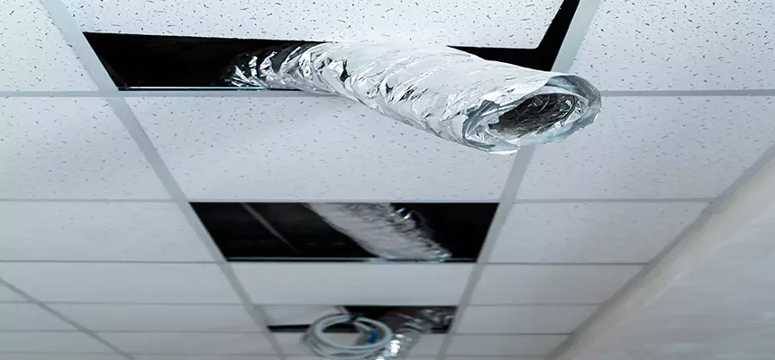 Affordable HVAC Sanitizing After Pest Removal in Estero