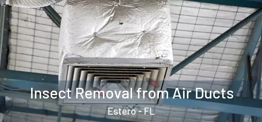 Insect Removal from Air Ducts Estero - FL