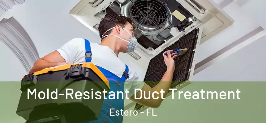 Mold-Resistant Duct Treatment Estero - FL