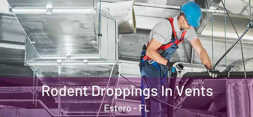 Rodent Droppings In Vents Estero - FL