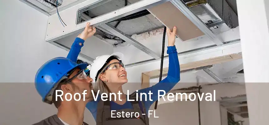 Roof Vent Lint Removal Estero - FL