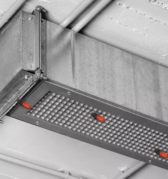 About Air Duct Cockroach Removal in Estero, FL
