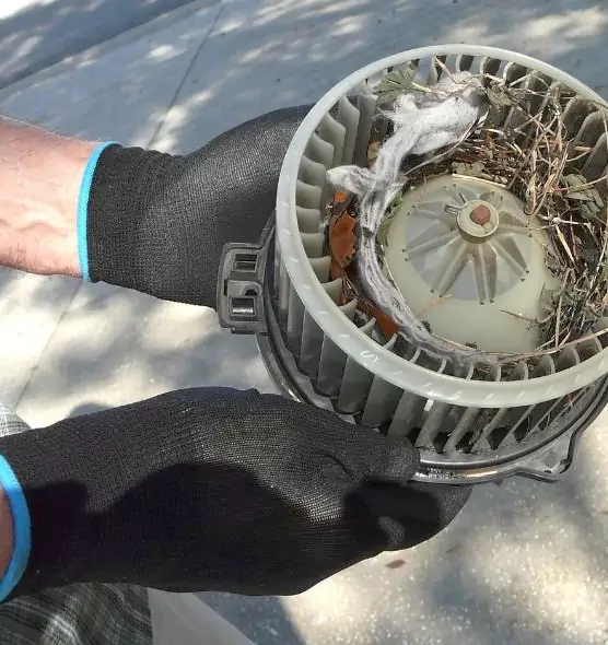 About Air Duct Rat Removal in Estero, FL