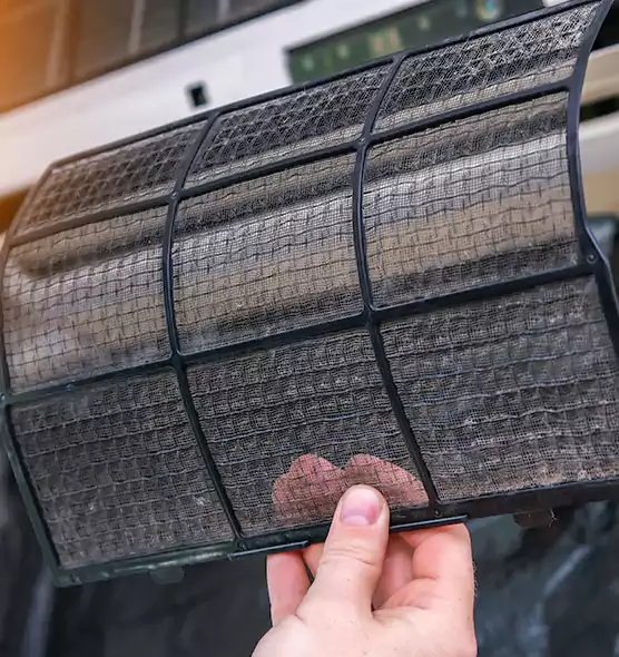 About Pet Dander Duct Cleaning in Estero, FL